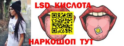 индика Гай