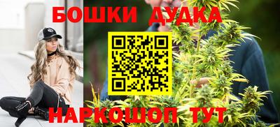 индика Гай