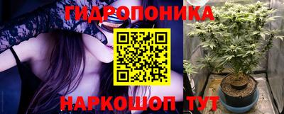 индика Гай
