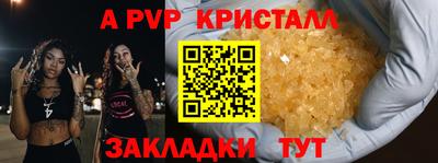 индика Гай