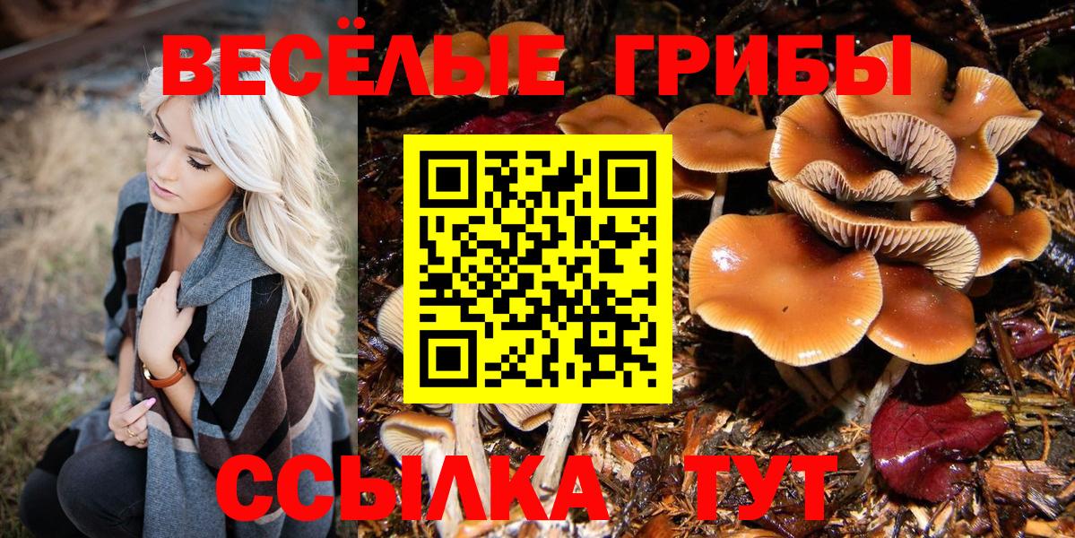 Ковров  Галлюциногенные грибы мицелий  Галлюциногенные грибы GOLDEN TEACHER  Вход с VPN 